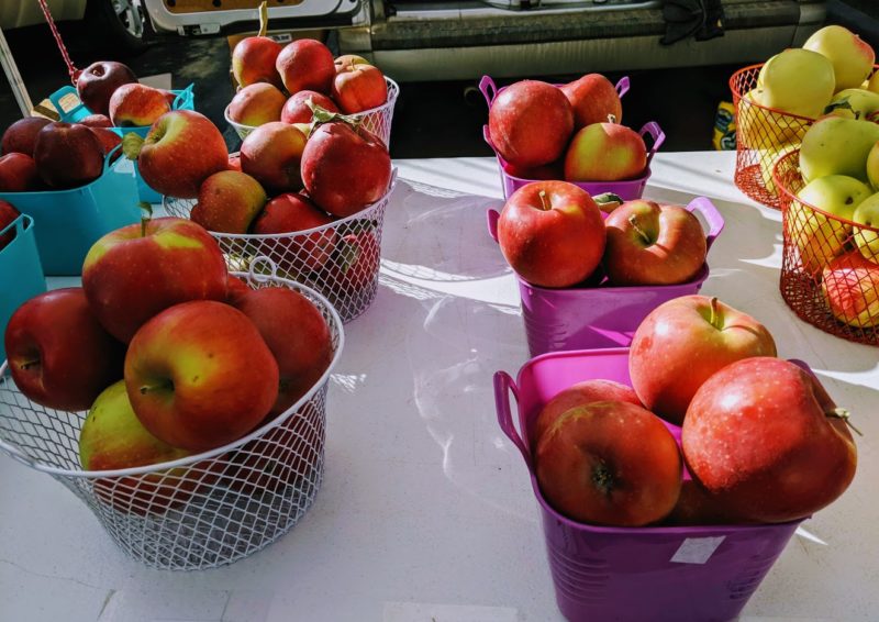 Northern Colorado Apples – a local fruit feast