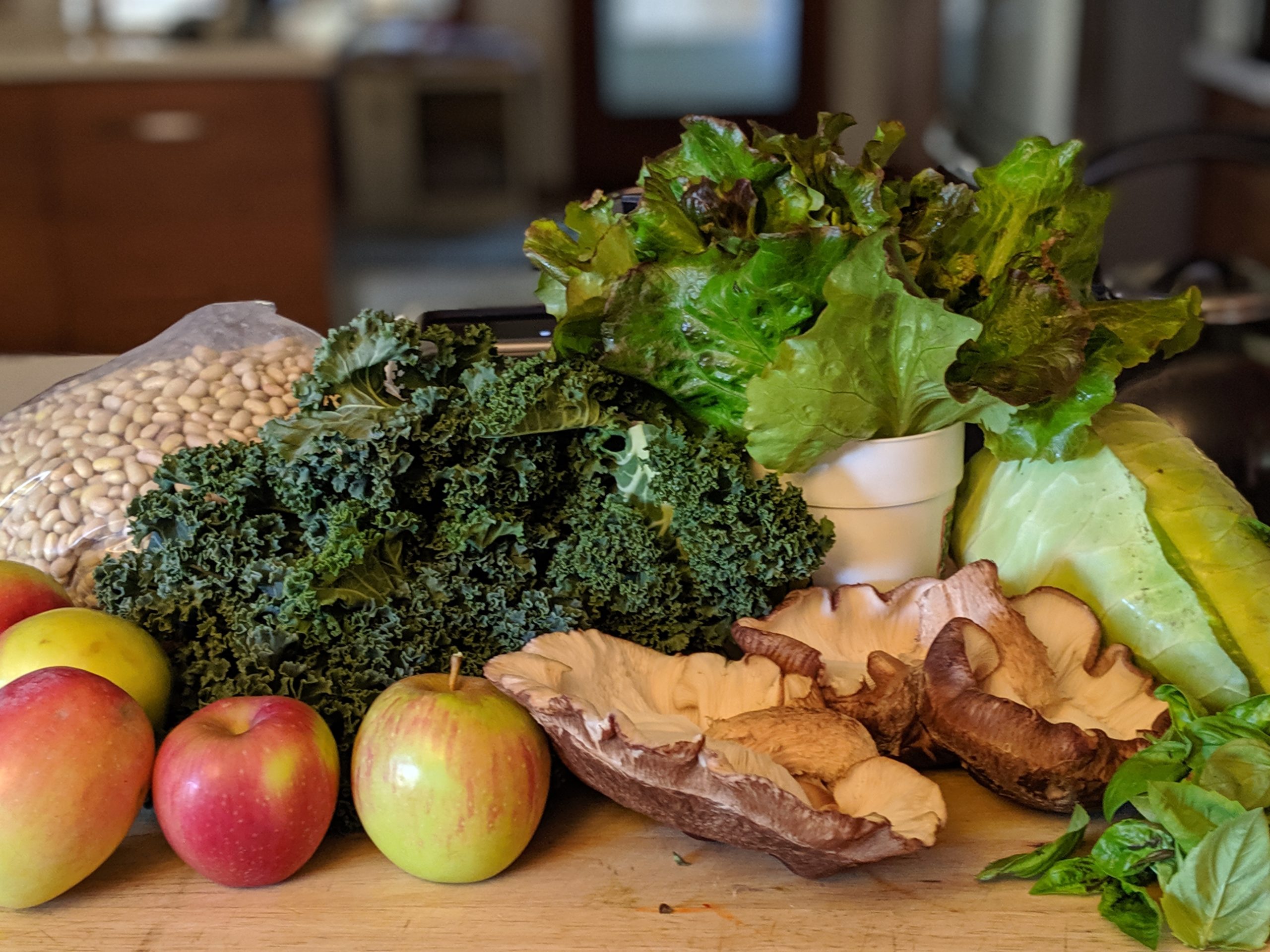 Plant-based Me! Exploring the power of a primarily plant-based diet