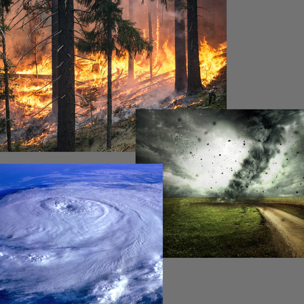 Put Some PEP In Your Life!  Virtual Workshop