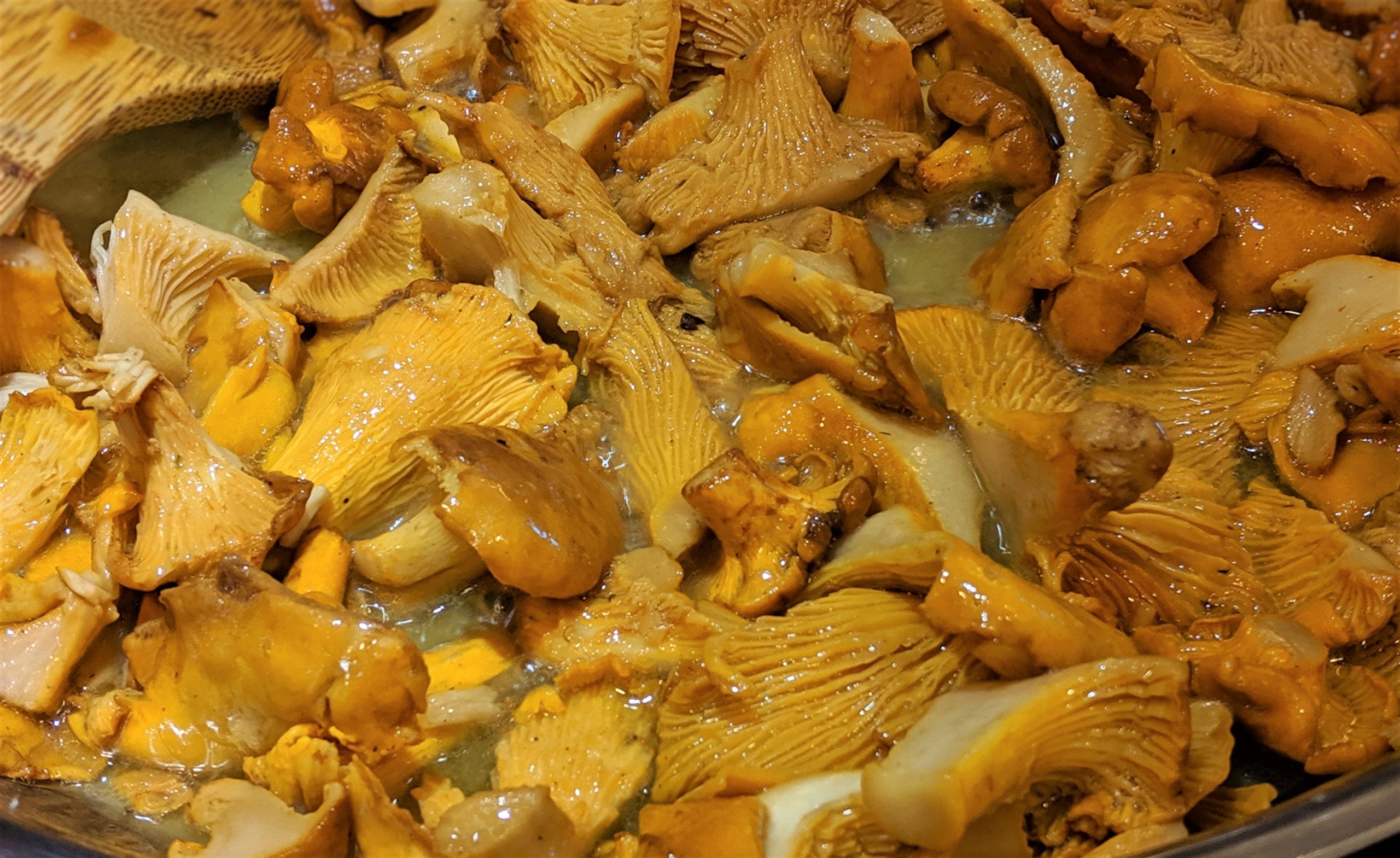 mushrooms barley bean IYSL