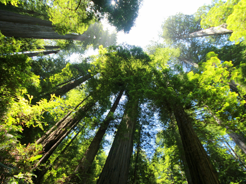 Things to Do During Social Distancing