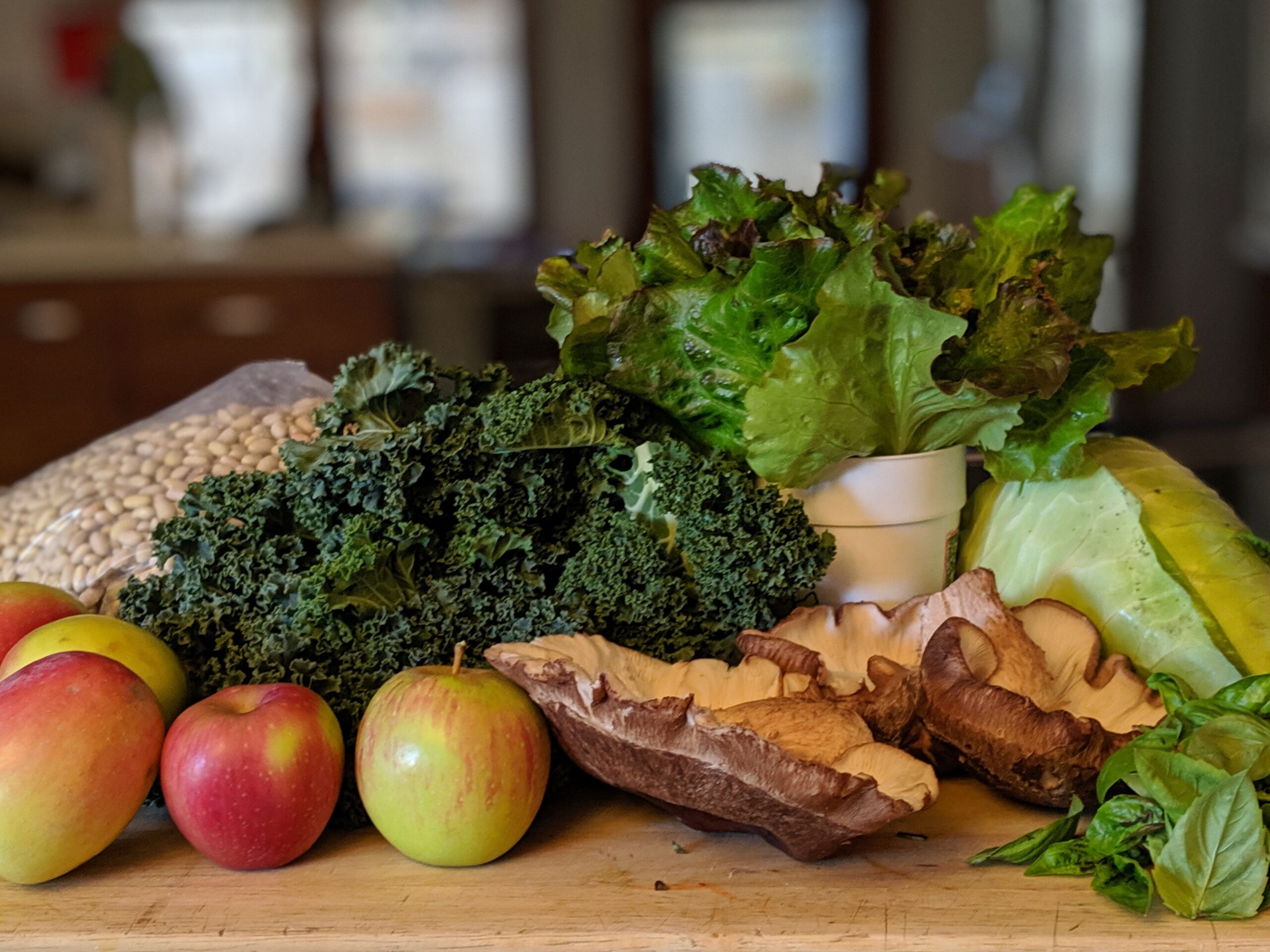 plant based meals IYSL Lisa Boesen