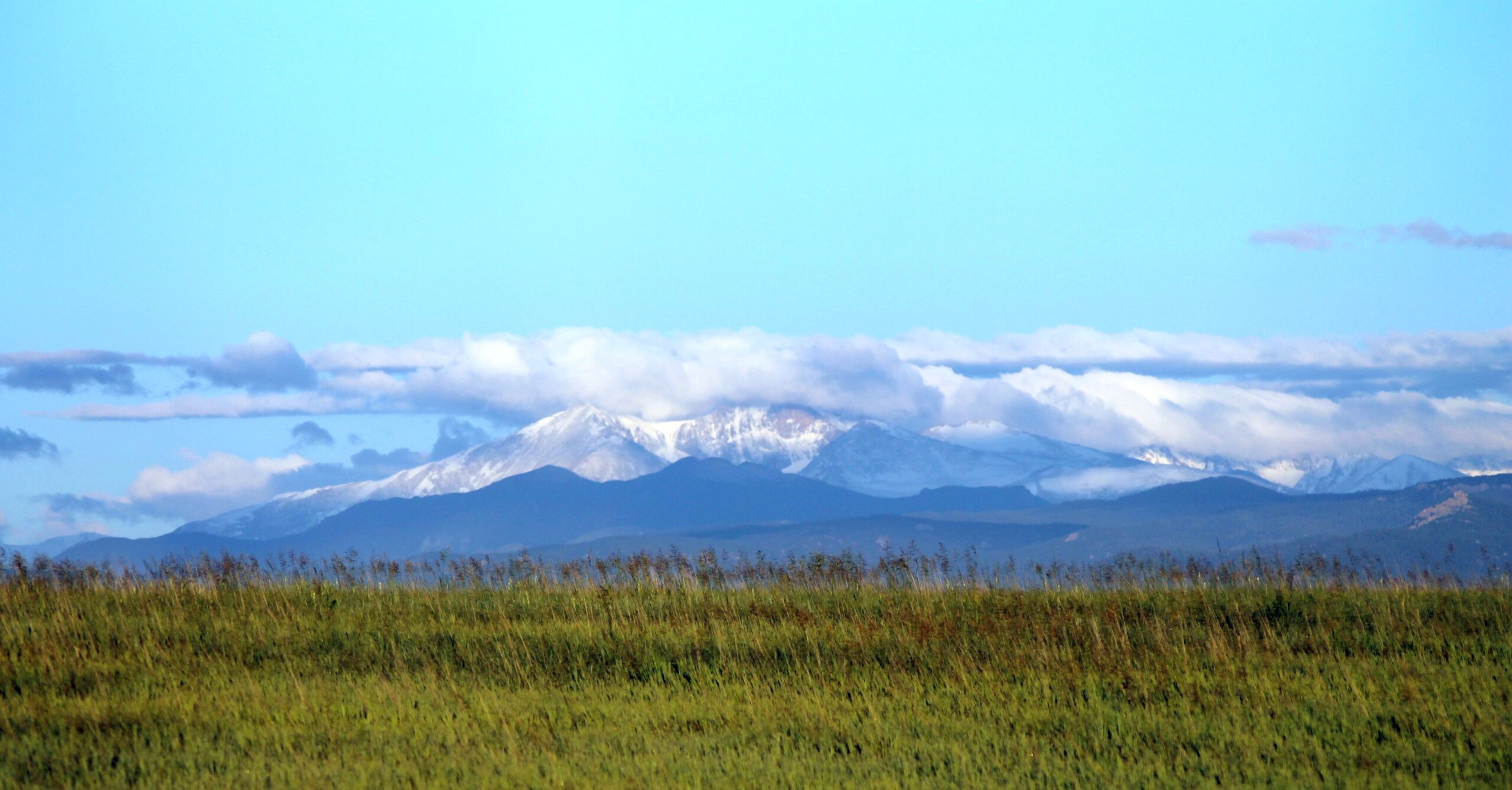 Food ELEVATED meet the author