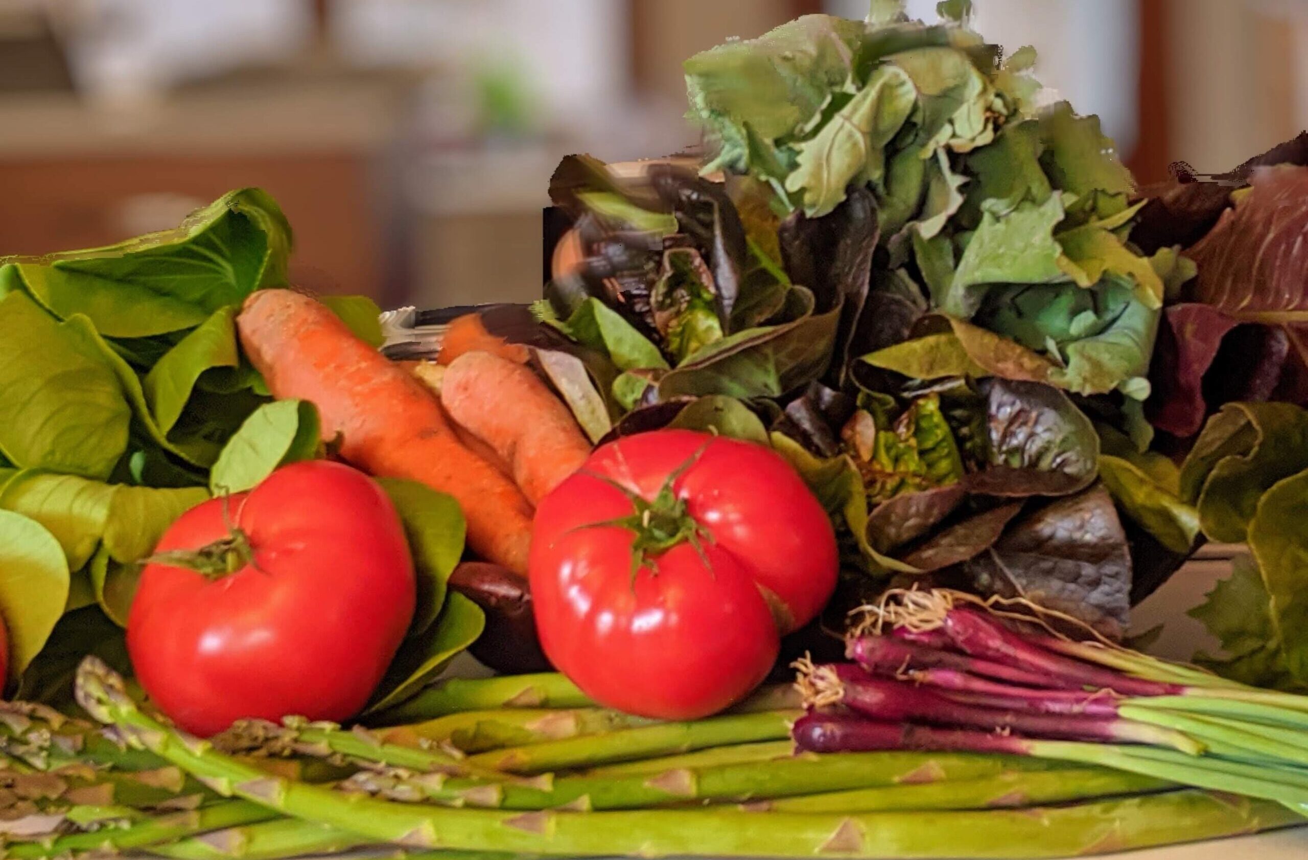 how we went plant-based