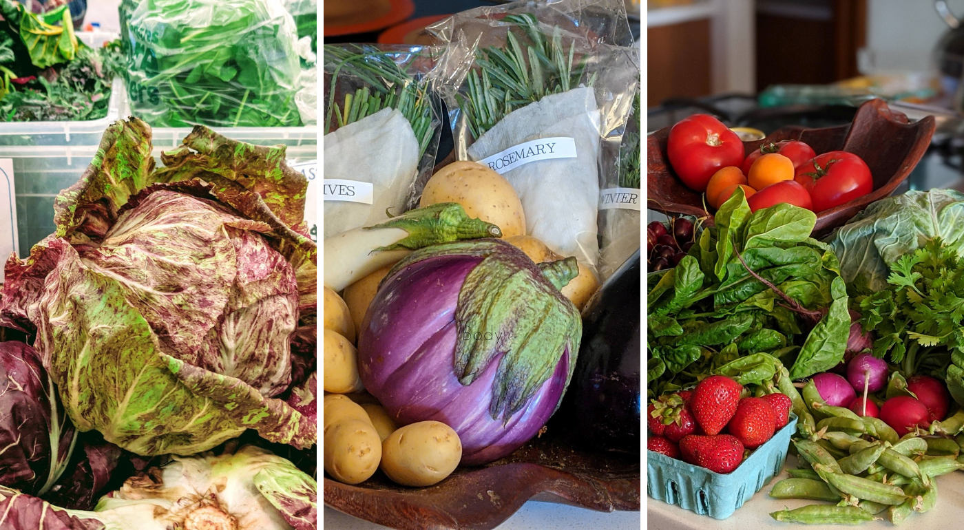 Get Your Veg On and Make Plants First!